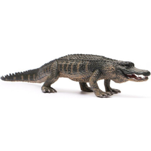 CollectA American Alligator #88609 - Fixed Jaw Model
