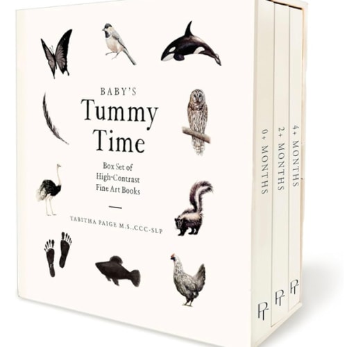 Baby's Tummy Time Book Box Set: A 3-Book Box Set of High-Contrast Art for Visual Stimulation at Tummy Time (Our Little Adventures Series)
