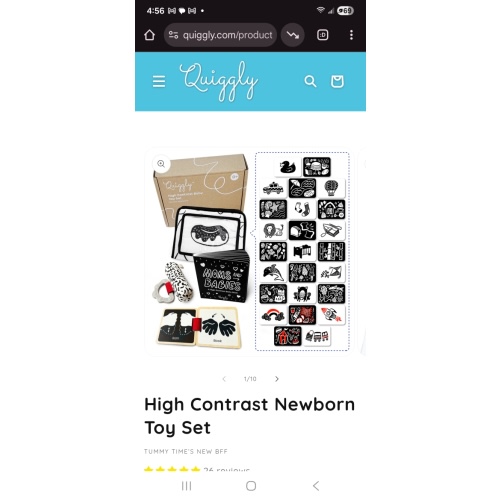 High Contrast Newborn Toy Set – Quiggly