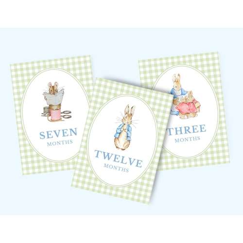 Beatrix Potter Monthly Milestone Cards | Sage Green Gingham | Classic Baby Nursery Decor | Digital Download