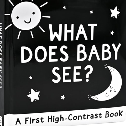 What Does Baby See? A High-Contrast Board Book (Padded Cover)