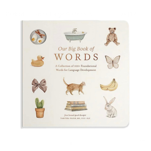 Our Big Book of First Words