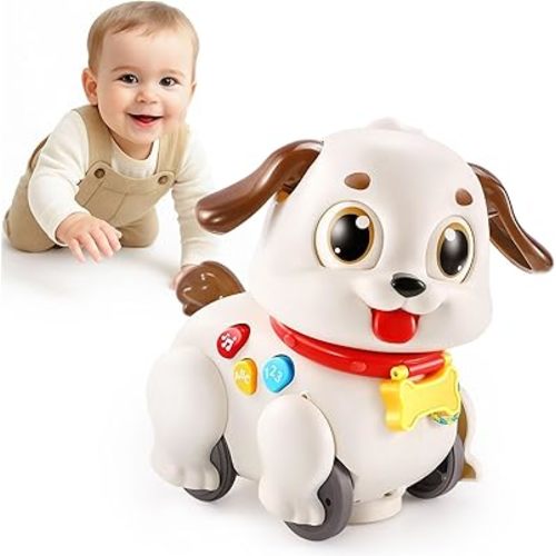 LUDILO Learning Toys for 1 Year Old Boy Girl Gifts: Pull Along Crawling Toy Musical Puppy 6 7 8 9 10 12 18 Month Old Baby Toy 1st Birthday Gifts for Boys Girls Toddler Infant Baby Toys 6-12-18 Months