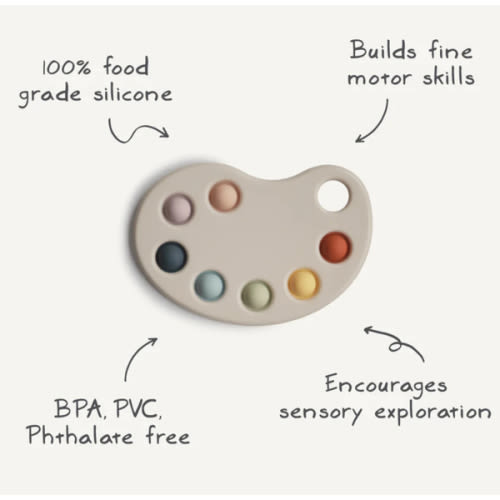 Paint Palette Press Sensory Toy