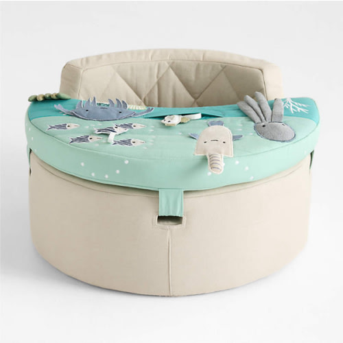 Aquatic Baby Activity Chair
