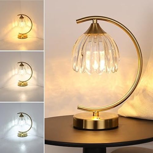 Tulip Table Lamp with 5200mAh Battery & Touch Control, Cordless Lamp with 3 Color Temperatures Clear Bulb, Rechargeable Small Table Lamps for Living Room, Bedside, Desk (Transparent Tulip)
