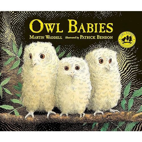 Owl Babies Hardcover – Picture Book, September 12, 2017