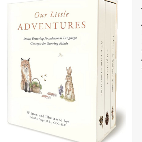 Our Little Adventures: Stories Featuring Foundational Language Concepts for Growing Minds (Tabitha Paige Children's Book Series)