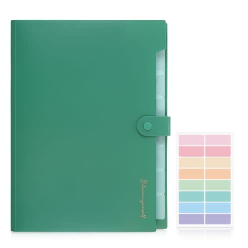 SKYDUE Expanding File Folder, Accordion File Organizer with 8 Pocket & Inner Card Pocket, Expandable Document Paper Receipt Holder for School Office Hospital, Letter/A4 Size Green