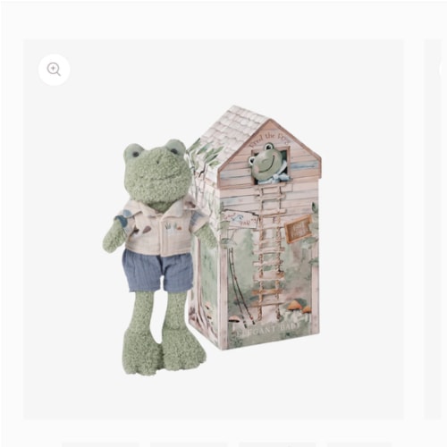Fred the Frog Boxed Plush Toy