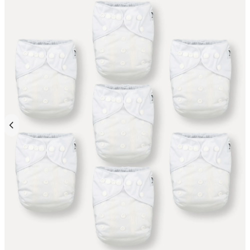 Winter White - 7 Pack