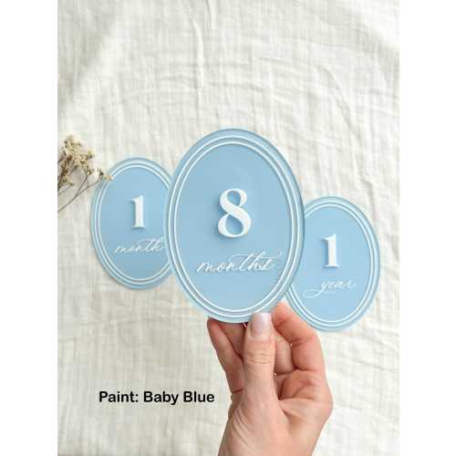 Oval Vintage Acrylic Milestone Set, Monthly Milestone Set, Acrylic Milestone Discs, Baby Milestone Cards, Monthly Photo Props