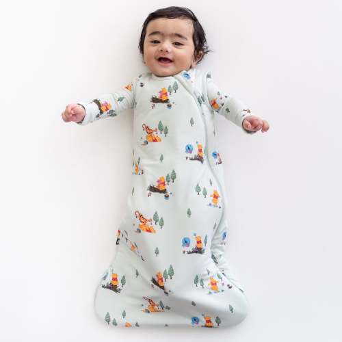 Sleep Bag in Winnie the Pooh Hundred Acre Wood 1.0