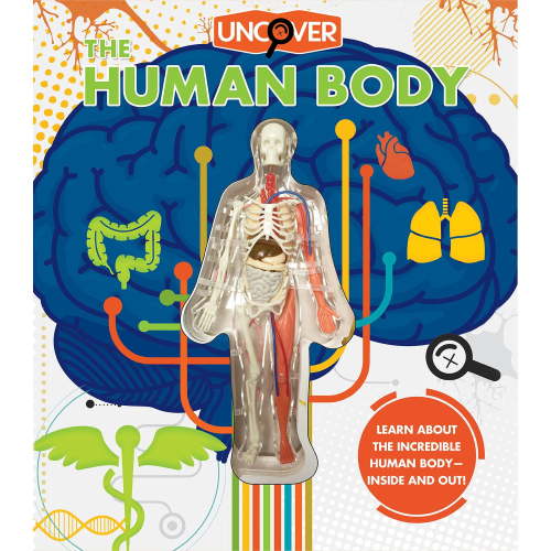 Uncover the Human Body, Hardcover