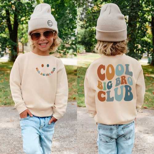 Big Bro Sweatshirt, Big Brother Shirt, Big Brother To Be, Toddler Sweatshirt, Pregnancy Announcement, Sibling Shirt, Brother Shirt