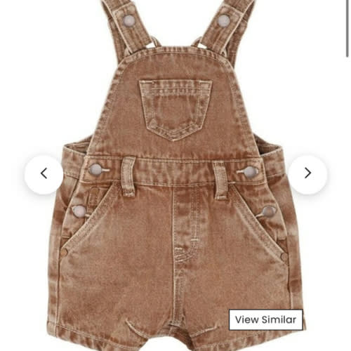 Finiley Denim Overalls in Brown