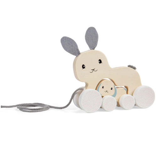 Bunny & Baby Pull Along - Big Jigs Toys