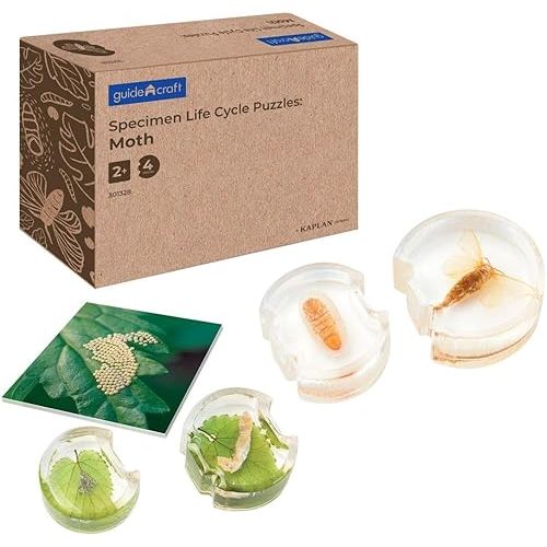 Kaplan Early Learning Specimen Life Cycle Puzzles - Moth