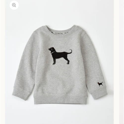 Lil Kids Classic Crewneck Sweatshirt – The Black Dog