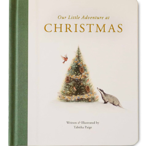 Our Little Adventure at Christmas: Featuring Foundational Language Concepts and Lessons on the Joy of Giving (Tabitha Paige Children's Book Series)