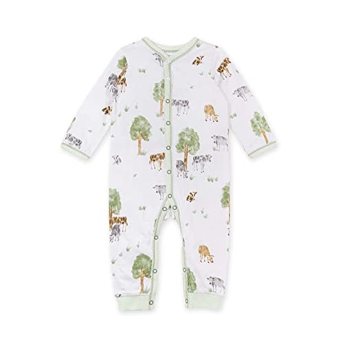 Burt's Bees Baby Baby Boy's Romper Jumpsuit, 100% Organic Cotton One-Piece Coverall