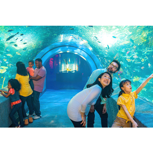 Aquarium Annual Membership