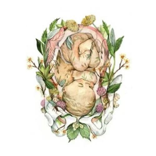 Babylist Doula Fund