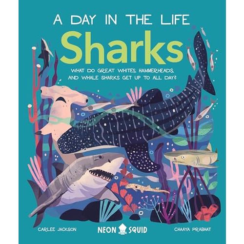 Sharks (A Day in the Life): What Do Great Whites, Hammerheads, and Whale Sharks Get Up To All Day?
