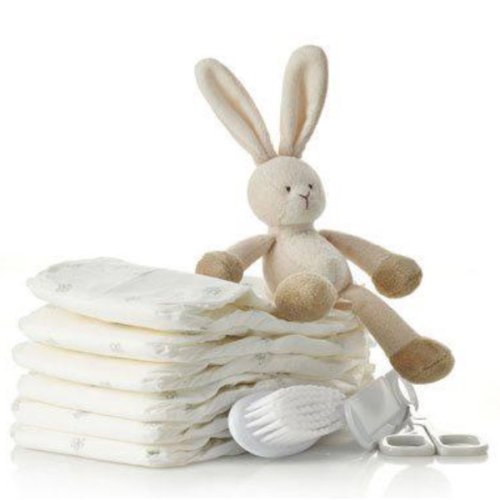 Diaper Fund