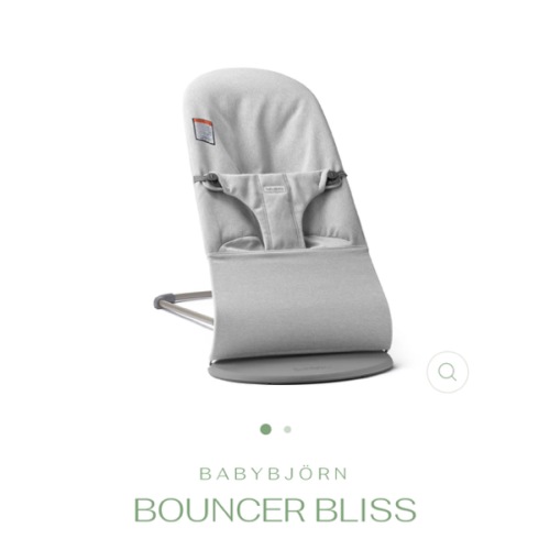 Bouncer Bliss