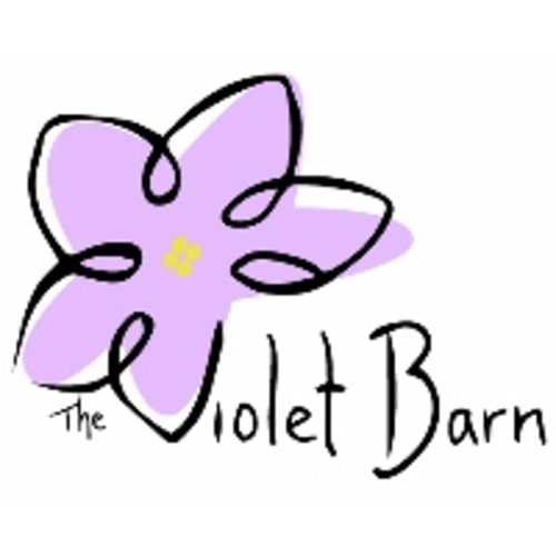 African Violet Mas Blueberry Taffy - The Violet Barn - African Violets and More
