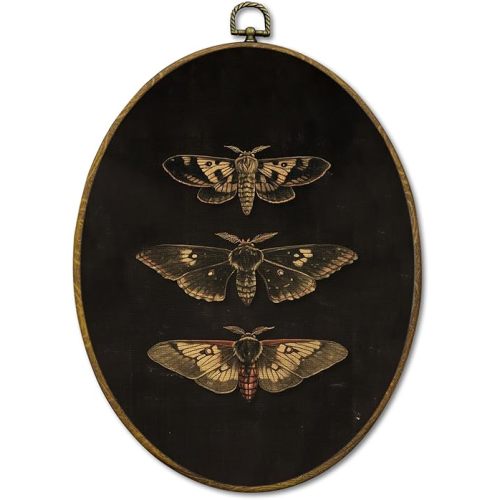 Mcehtle Dark Moody Moth Wall Art Decor, Dark Academia Butterfly Framed Canvas Prints 8.6x11.4, Vintage Cottagecore Moth Wall Hanging Artwork Decorations for Gallery Home Bedroom Livingroom