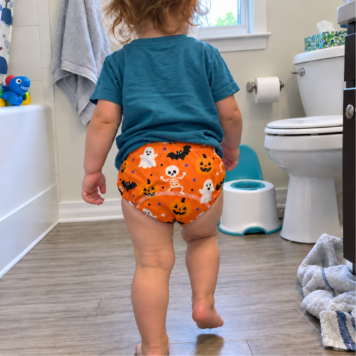 Potty Training Underwear