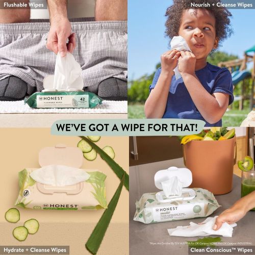 Everyday Pack of Wipes | Honest