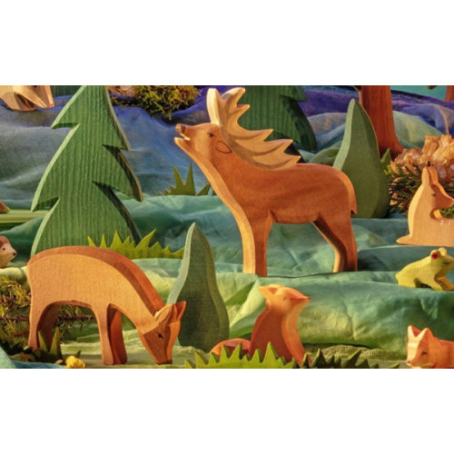 Animals of Forest & Meadow