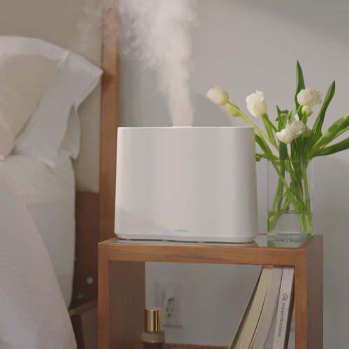Cloud Humidifier