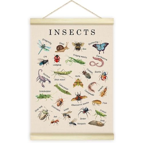 Types of Bugs Insects Poster Hanger Frame, Learning Materials Art Wooden Canvas Art Print Hanging, Wall Art Decor for Insects Lover Classroom Bedroom Living Room Office Kid Room, 12x16 Inches /019