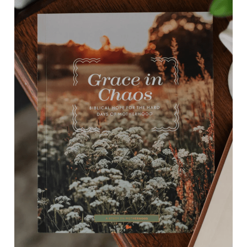 Grace in Chaos Motherhood Bible Study | TDGC – The Daily Grace Co.