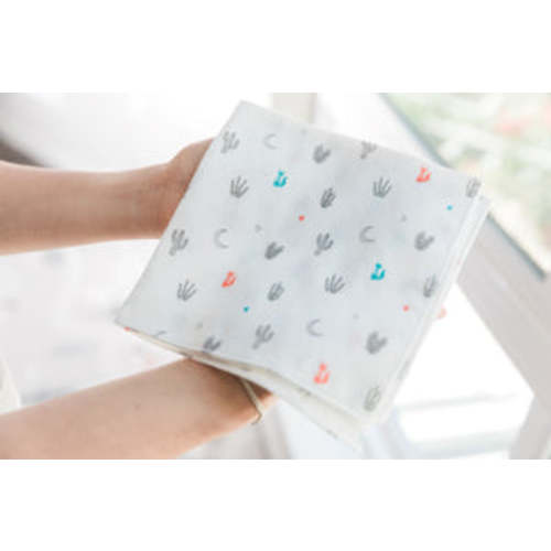100% cotton baby cloths, 5 pack: Cactus Bloom