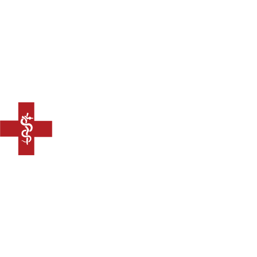 Snakeskin Pro — Snakestaff Systems