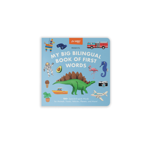 My Big Bilingual Book of First Words