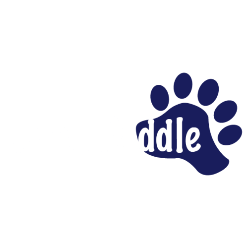 Digital Gift Cards | Bear Paddle Swim School