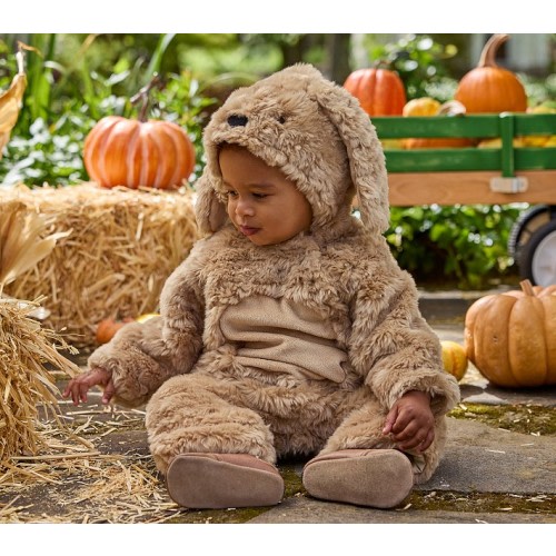 Baby Labradoodle Dog Halloween Costume
