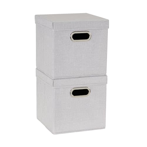 Household Essentials 804-1 Café Cube Bin Storage Set with Lids and Handles | 2 Pack | Silver Linen