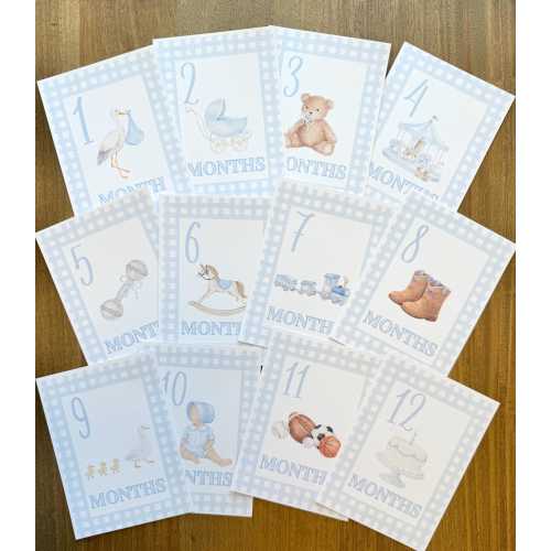 Baby Boy Milestone Cards, Watercolor Gingham, Linen Texture Photo Props