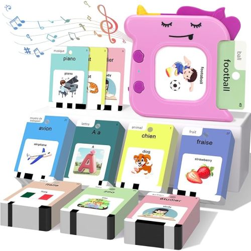 AHJ French English Talking Flash Cards Toddler Baby Pocket Speech 420 Words