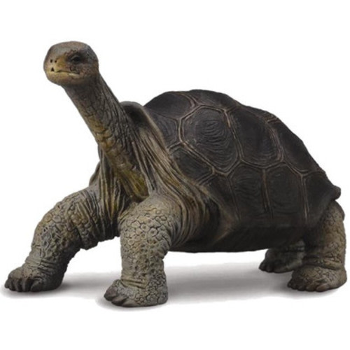 CollectA Pinta Island Tortoise (Lonesome George) #88619