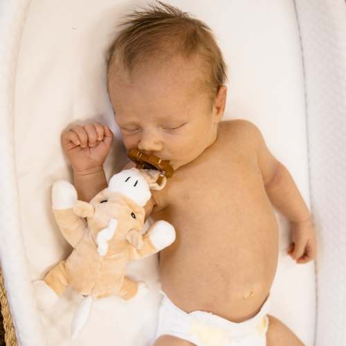 Palomino Horse Detachable Pacifier – Cowkid Clothing Company