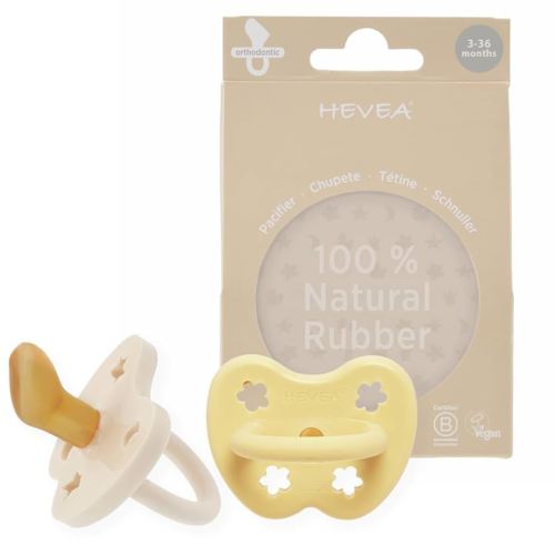HEVEA Natural Rubber Pacifier Orthodontic 3-36 Months Two-Pack - Pale Butter & Milky White