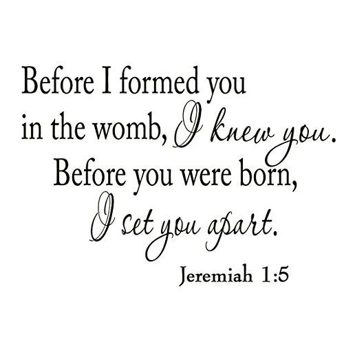 Before I Formed You in The Womb I Knew You. Before You were Born, I Set You Apart. Jeremiah 1-5 Vinyl Wall Art Religious Home Decor Bible Scripture Quote Nursery Wall Decal